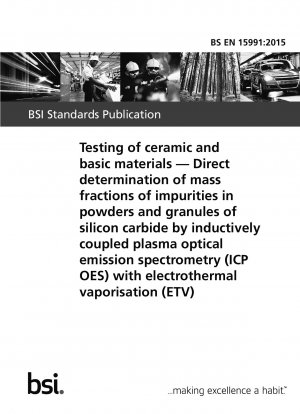 セラミック原料および基礎材料の試験 電熱蒸着 (ETV) 誘導結合プラズマ発光分析 (ICP-OES) による炭化ケイ素の粉末および粒子中の不純物の質量分率の直接測定