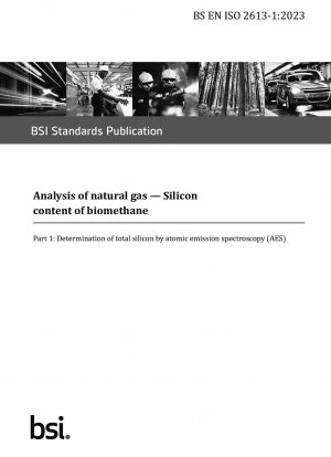 天然ガス分析 バイオメタンのシリコン含有量 原子発光分析法 (AES) による全シリコンの測定 (英国標準)