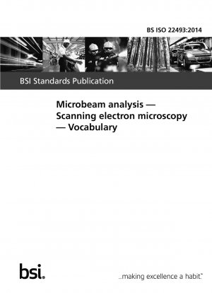 マイクロビーム分析、走査型電子顕微鏡、語彙