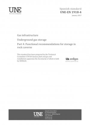 天然ガスインフラストラクチャーにおける地下天然ガス貯蔵パート 4: 洞窟貯蔵のための機能的な推奨事項