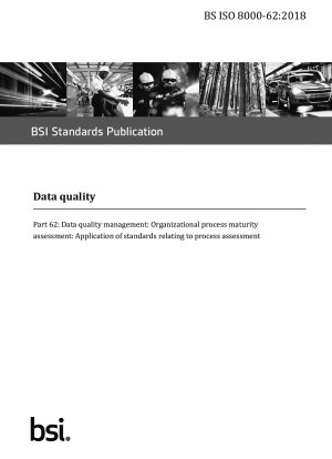 データ品質 データ品質管理: 組織プロセス成熟度評価: プロセス評価関連基準の適用