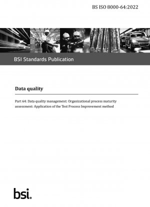 データ品質パート 64: データ品質管理: 組織プロセスの成熟度の評価: プロセス改善手法の適用のテスト