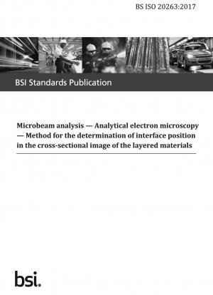 マイクロビーム解析と電子顕微鏡を用いた層状材料の断面画像における界面位置の決定方法