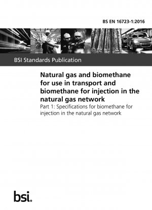 輸送用の天然ガスとバイオメタン、および天然ガス パイプライン ネットワークへのバイオメタン充填 天然ガス パイプライン ネットワークへのバイオメタンの充填仕様