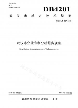 武漢企業特許分析レポートの仕様