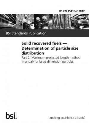 固体再生燃料 粒度分布測定 大きなサイズの粒子に対する最大投影長法（手動）