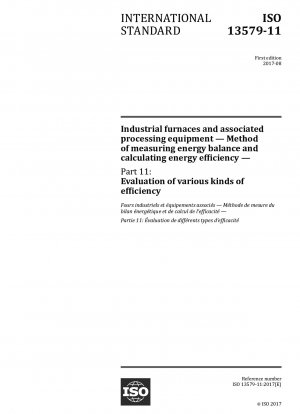 工業炉および関連プロセス装置のエネルギーバランス試験およびエネルギー効率計算方法 第11部：各種効率評価