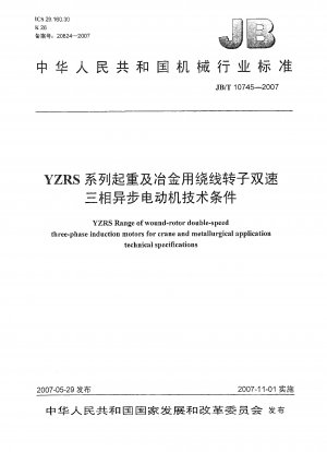 YZRS シリーズ巻き上げローター 2 速三相非同期モーターの技術仕様