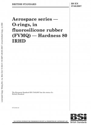 航空宇宙シリーズ、フロロシリコーンゴム（FVMQ）Oリングシール、硬度80 IRHD
