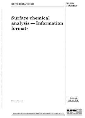 表面化学分析 - 情報フォーマット