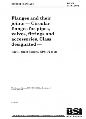 フランジとその接続 グレードマーク付きパイプ、バルブ、継手および付属品用のリングフランジ NPS 1/2 ～ 24 スチールフランジ