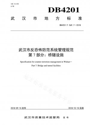 武漢対テロ防止システム管理仕様書パート 7: 橋梁およびトンネル施設