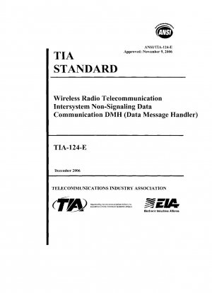 無線通信システム間のノンシグナリングデータ通信DMH（データオーディオプロセッサ）