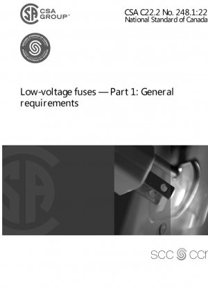 低電圧ヒューズ — パート 1: 一般要件