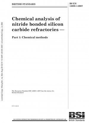 炭化ケイ素耐火物品と組み合わせた窒化物の化学分析 パート 1: 化学的方法