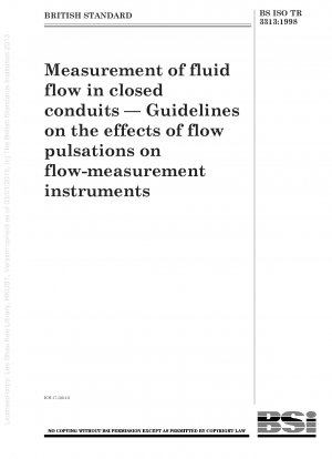 閉じたパイプ内の流体の流れの測定 流量測定器に対する流れの脈動の影響に関するガイダンス