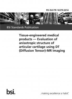 組織工学的に作製された医療製品は、DT (拡散テンソル)-MR イメージングを使用して関節軟骨の異方性構造を評価します