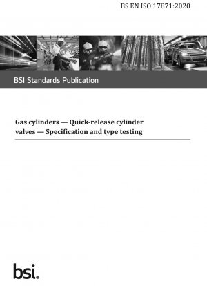 ガスシリンダーのクイックリリースシリンダーバルブの仕様とタイプのテスト