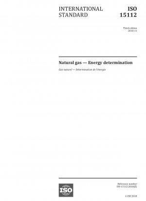 天然ガス - エネルギーの決定