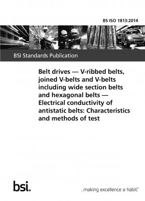 ベルトドライブ ポリVベルト、連動Vベルト、幅広ベルトや六角ベルトなどのVベルト 帯電防止ベルトの導電率：試験特性と試験方法