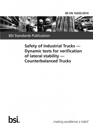 産業用トラックの安全性 横方向の安定性を検証するための動的試験 バランスの取れたトラック