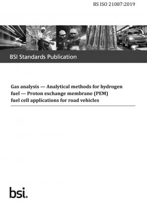 道路車両の水素燃料陽子交換膜 (PEM) 燃料電池を分析するためのガス分析方法