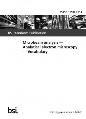 マイクロビーム分析、分析電子顕微鏡、語彙