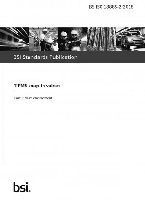 TPMS スナップインバルブ バルブ環境
