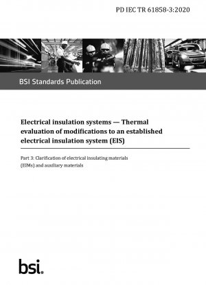 電気絶縁システム 確立された電気絶縁システム (EIS) への変更の熱評価 電気絶縁材料 (EIM) および補助材料の明確化