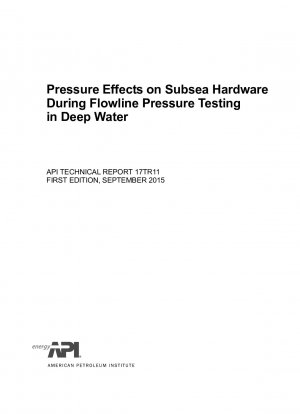 深層流線圧力試験中の海底ハードウェアへの圧力の影響 (第 1 版)