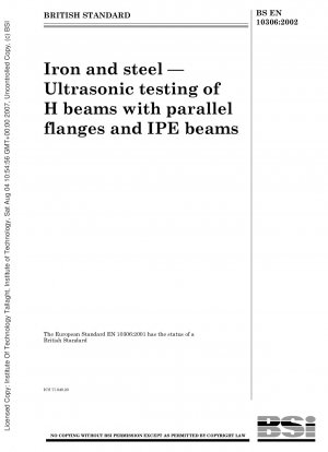 鉄鋼：平行フランジ付きH形鋼梁およびIPE鋼梁の超音波試験