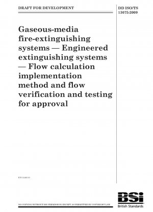 ガス媒体消火システム工学的消火システム流量計算実施方法及び流量確認試験承認申請