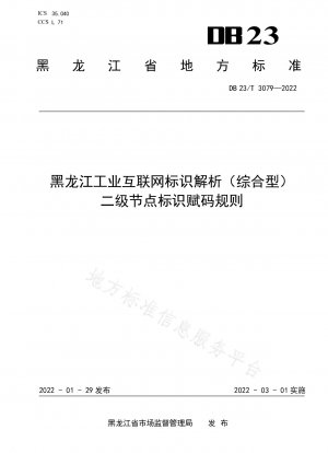 黒竜江省産業インターネット ID 分析 (包括的) セカンダリ ノード識別コーディング ルール